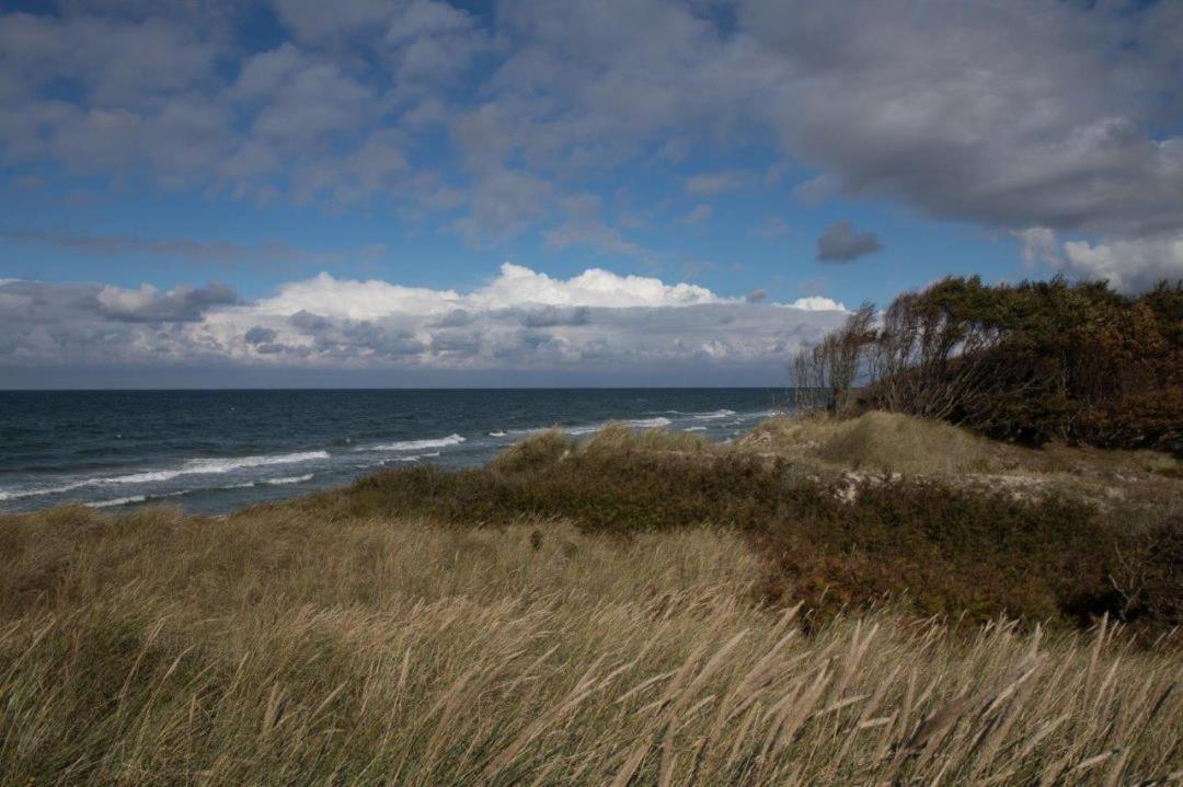 Studio 11 Im Haus Stranddistel, Modernes Studio Im 1 Og Fur 2 Personen In Zingst Buitenkant foto